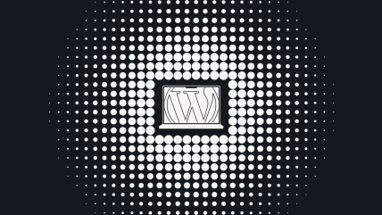 WordPress logo in the center of a black background with a pattern of white, fading circular dots, evoking the sophistication of enterprise WordPress hosting solutions.