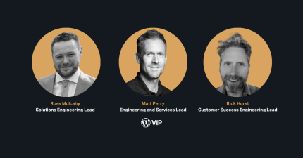 VIP team leads Ross Mulcahy, Matt Perry, and Rick Hurst featured for a digital solution leadership team.