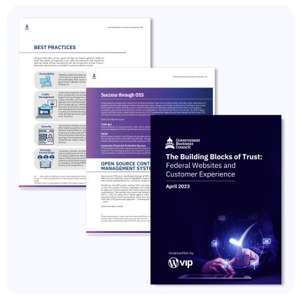 Federal website governance report pages highlighting best practices, digital solution content and trust framework cover.