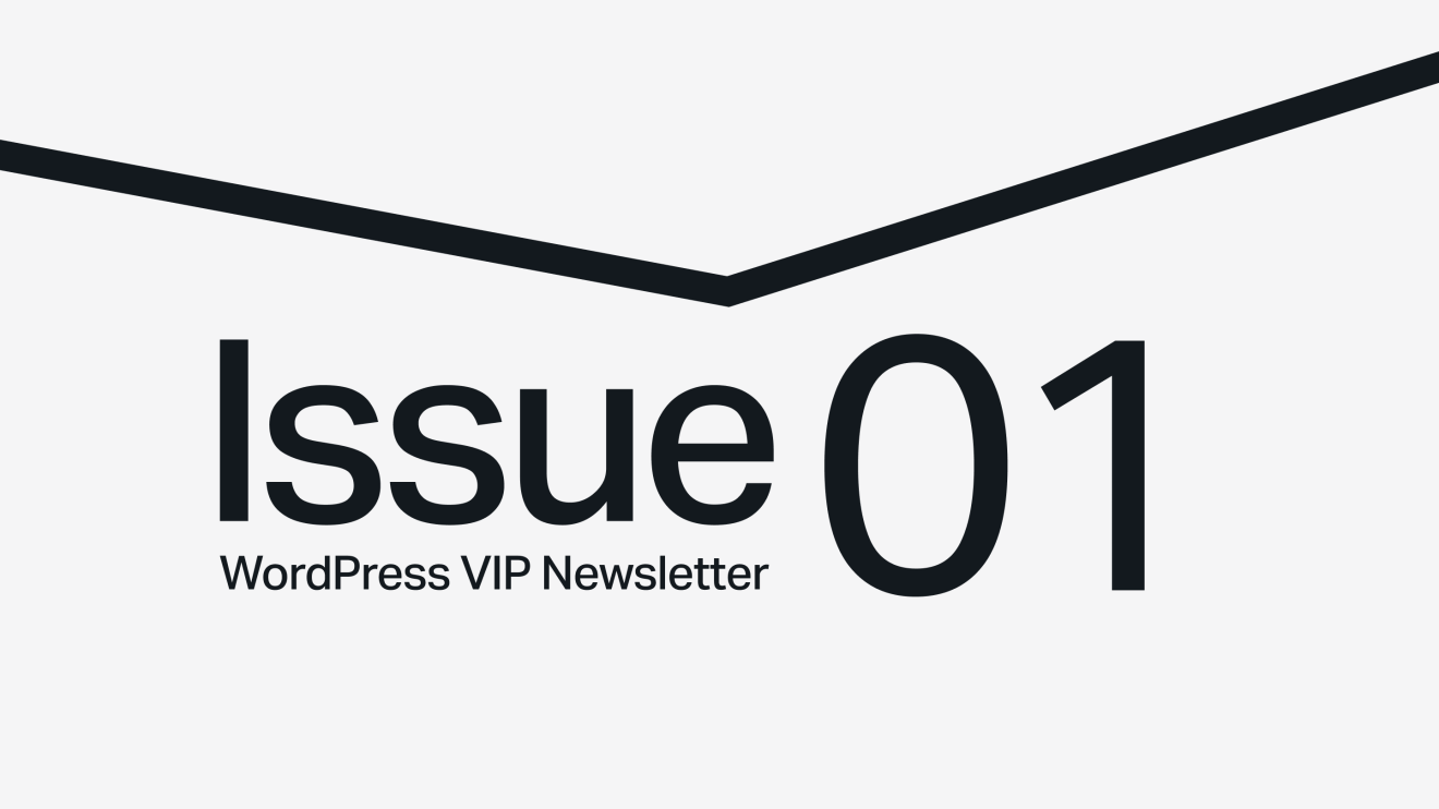 Text Issue 01 below a thick, black, downward-pointing chevron on a light background.