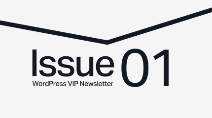 Text Issue 01 below a thick, black, downward-pointing chevron on a light background.