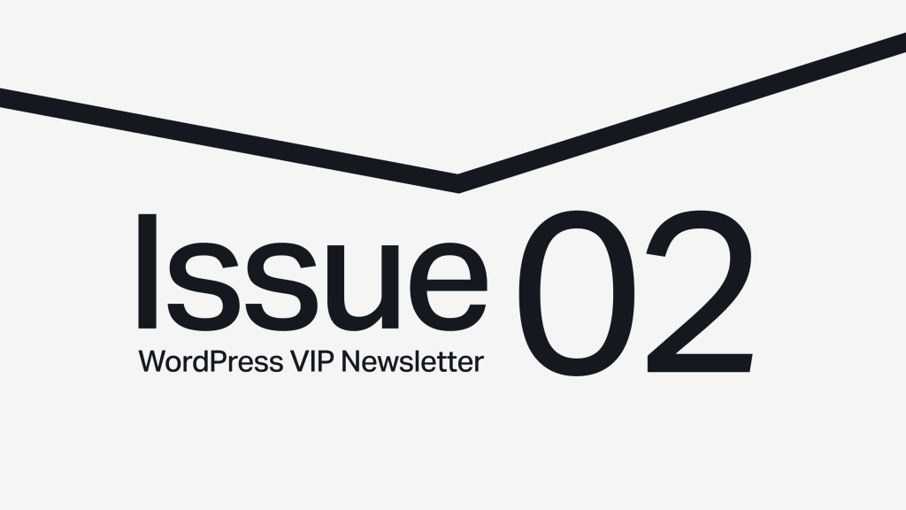 Text reads: Issue 02 WordPress VIP Newsletter with a bold black line above on a light background.