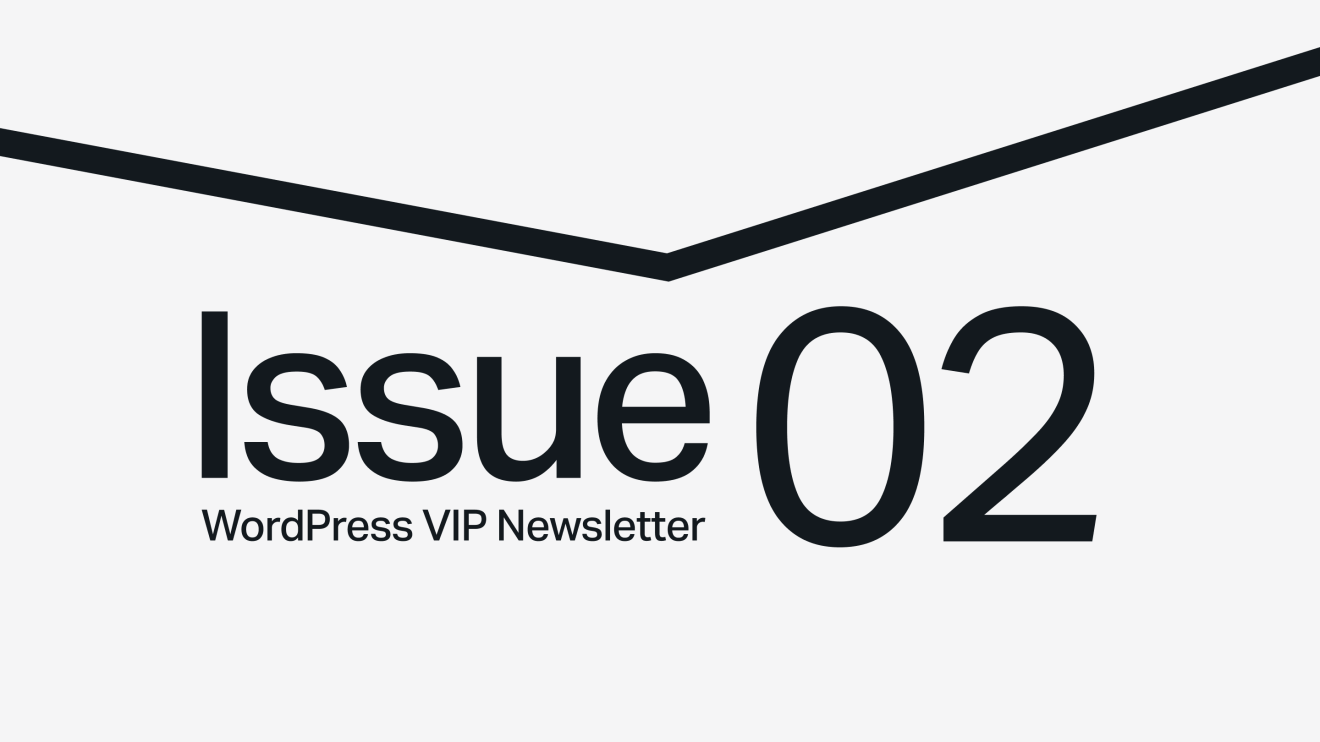 Text reads: Issue 02 WordPress VIP Newsletter with a bold black line above on a light background.