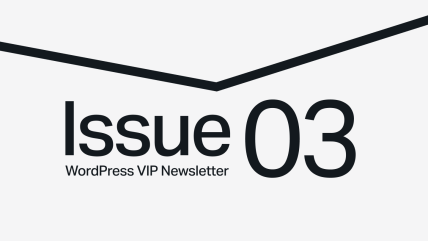 Text Issue 03 of WordPress VIP Newsletter below a thick, black, downward-pointing chevron on a light background.
