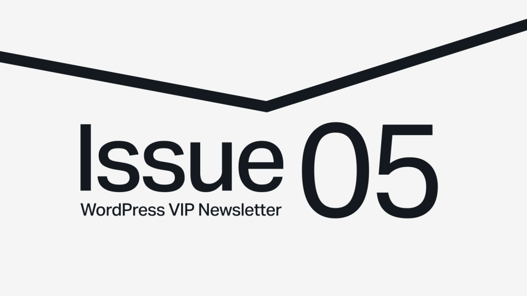 Text reading Issue 05 WordPress VIP Newsletter with a bold black line above on a light background.
