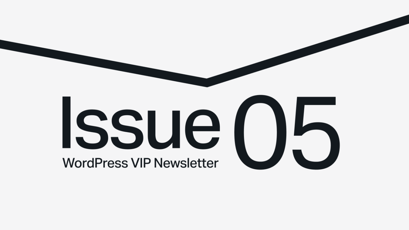 Text reading Issue 05 WordPress VIP Newsletter with a bold black line above on a light background.