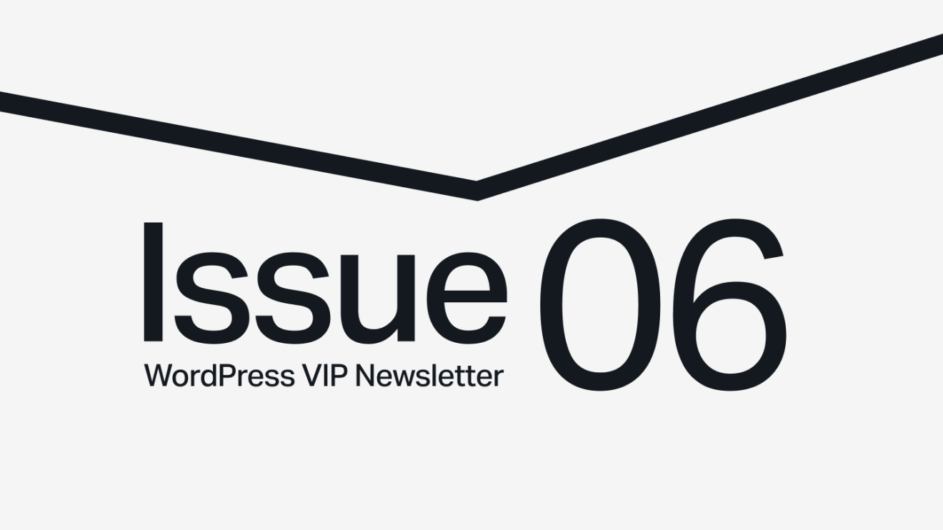 Text reads Issue 06, WordPress VIP Newsletter in large black font on a light background.