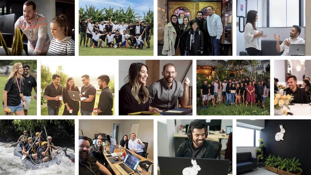 Collage of diverse people collaborating on digital solution content and workflow, with visible rabbit logos.