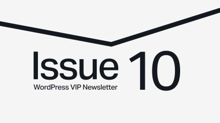 Issue 10 WordPress VIP Newsletter text with a black angled line above on a light gray background.