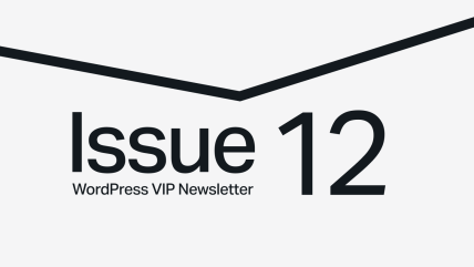 Text saying Issue 12 WordPress VIP Newsletter with a black chevron line above on a gray background.