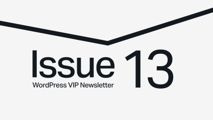 Text saying Issue 13 WordPress VIP Newsletter with a black chevron line above on a gray background.