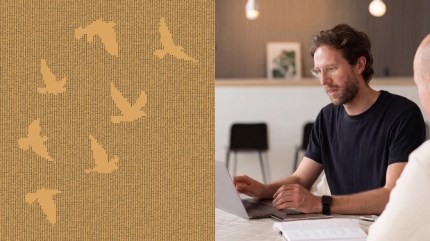 A man works on a laptop next to a numeric bird pattern, illustrating How AI Is Making Website Consolidation, Migration, and Replatforming Easier
