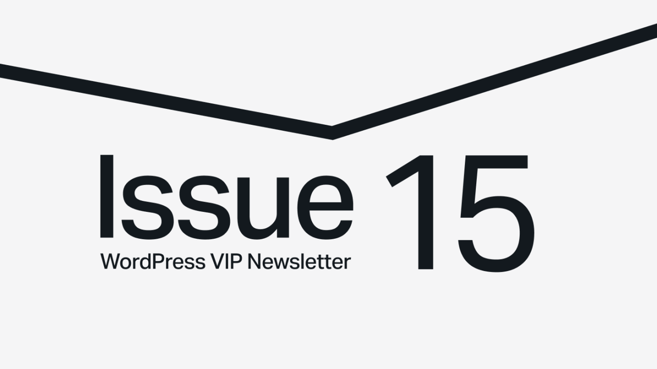 Issue 15 WordPress VIP Newsletter text on a light background with a black angled line above.