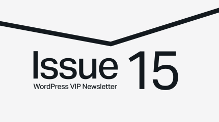 Issue 15 WordPress VIP Newsletter text on a light background with a black angled line above.