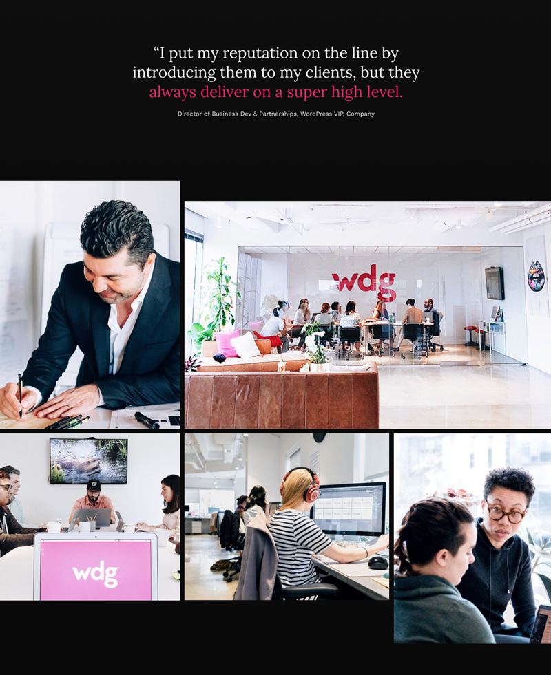 WDG Office and Team working