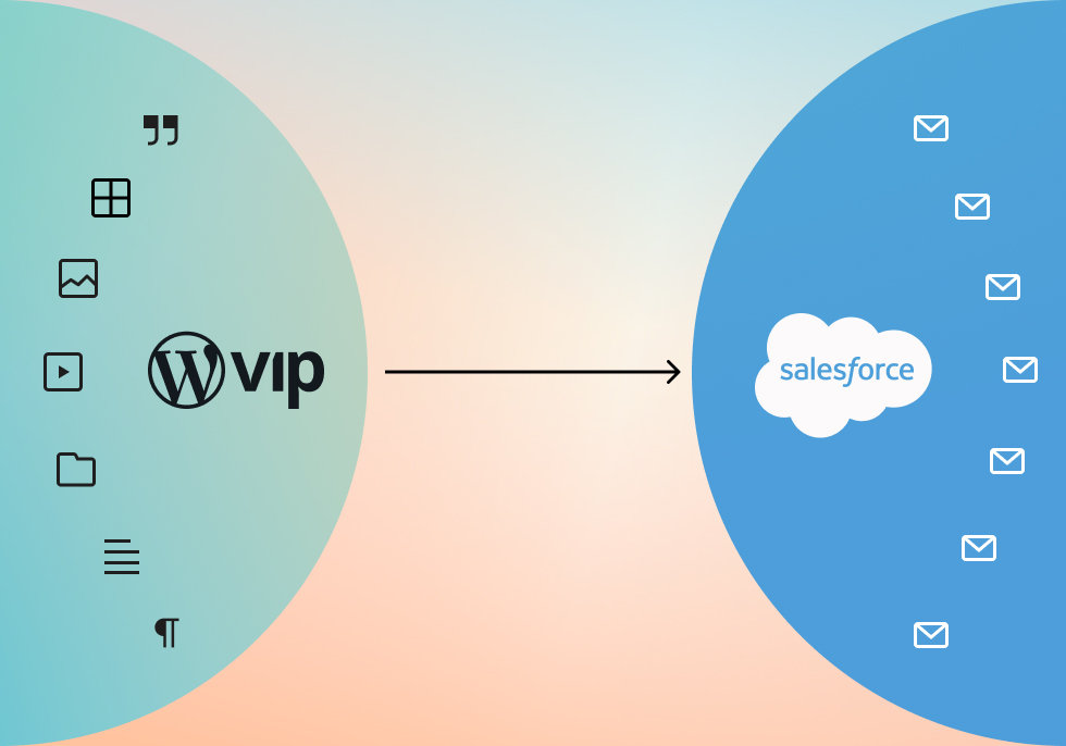 WordPress VIP for Salesforce graphic
