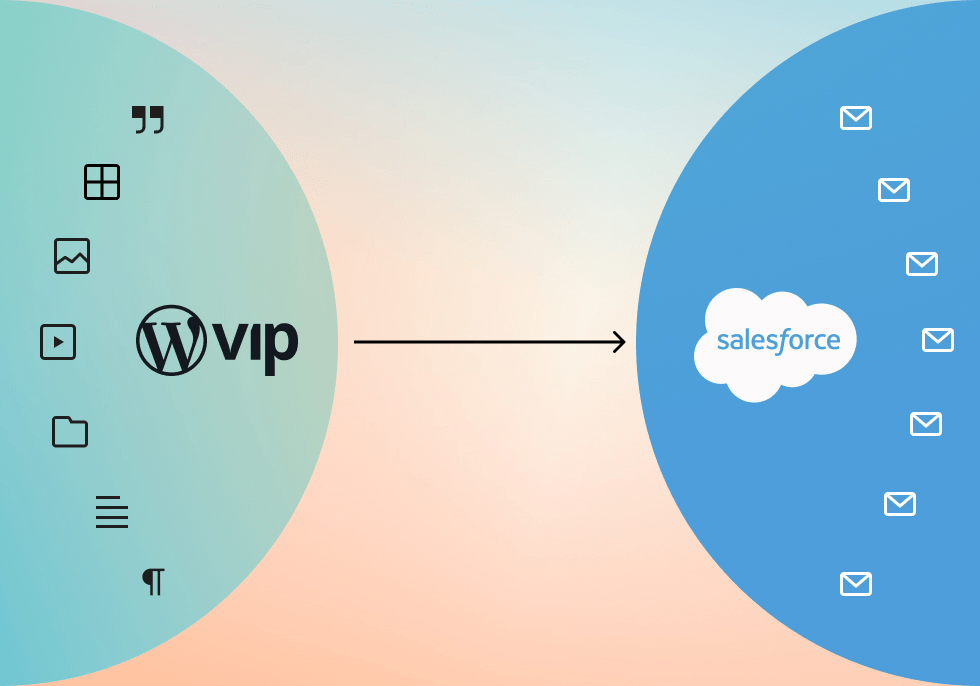 WordPress VIP for Salesforce graphic